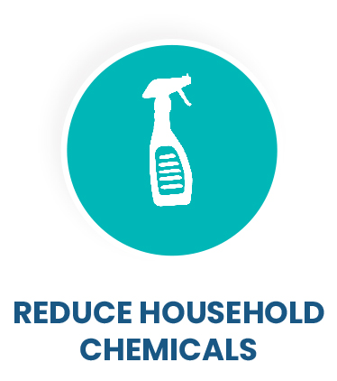 Reduce Household Chemicals
